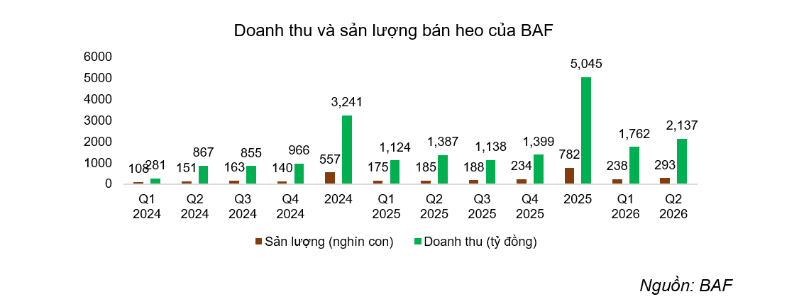 BAF Việt Nam đạt doanh thu 2.137 tỷ trong quý II/2026