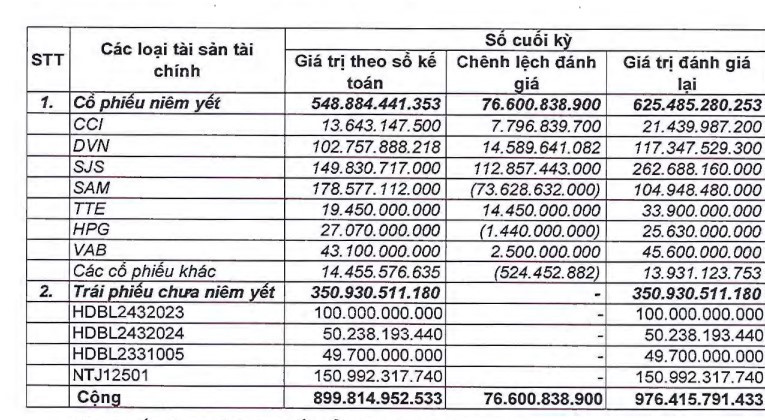 Danh mục tự doanh của NSI