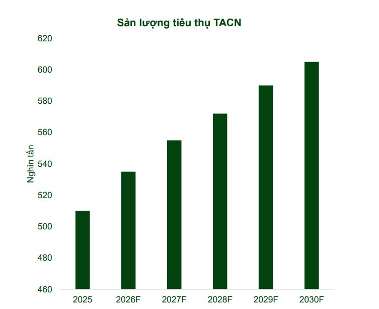tacn dbc