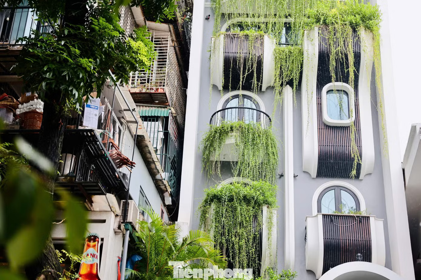 Xử lý vụ 80 m2 đất vàng Bảo tàng Lịch sử quốc gia bị lấn chiếm vẫn được cấp sổ đỏ thế nào? - Ảnh 3.