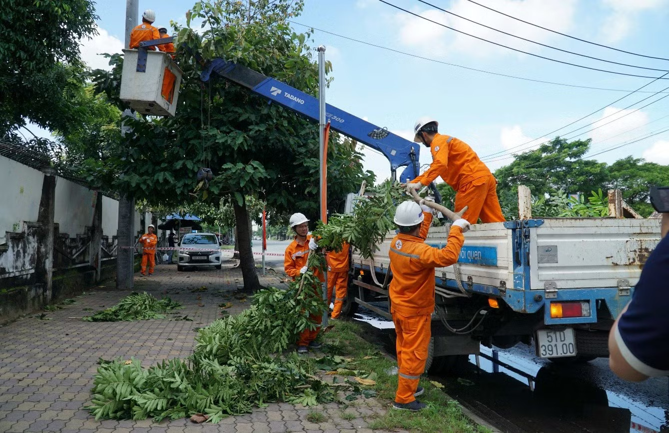 Cắt tỉa nhánh cây để đảm bảo hành lang an toàn lưới điện EVNHCMC cấp điện an toàn, ổn định dịp lễ Quốc khánh - Ảnh 2.