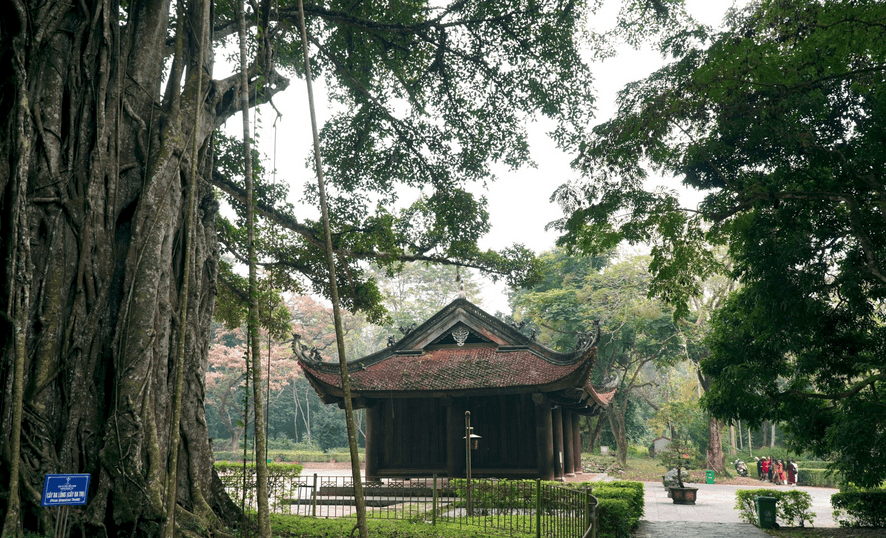 Screenshot 2026-08-27 at 15-42-22 Chiêm ngưỡng chính điện dát vàng ở khu di tích lịch sử Lam Kinh