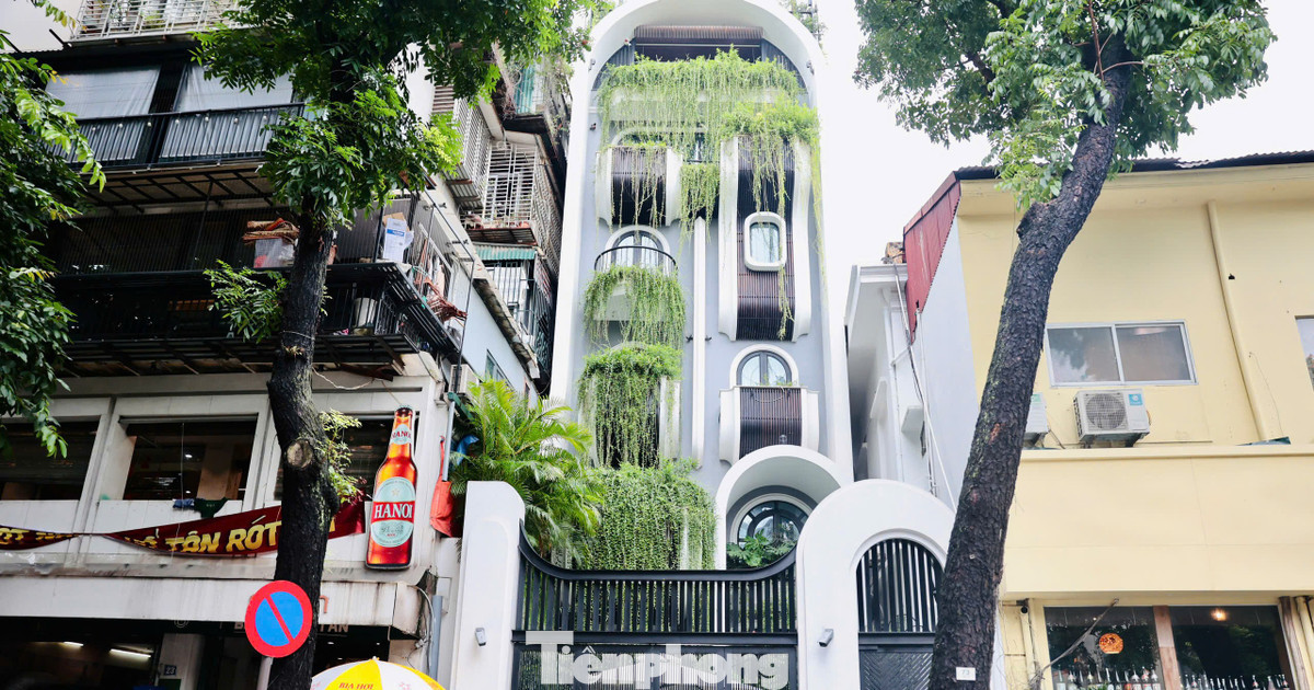 Công ty Quản lý và Phát triển Nhà Hà Nội lên tiếng vụ 80m2 đất Bảo tàng Lịch sử quốc gia bị lấn chiếm