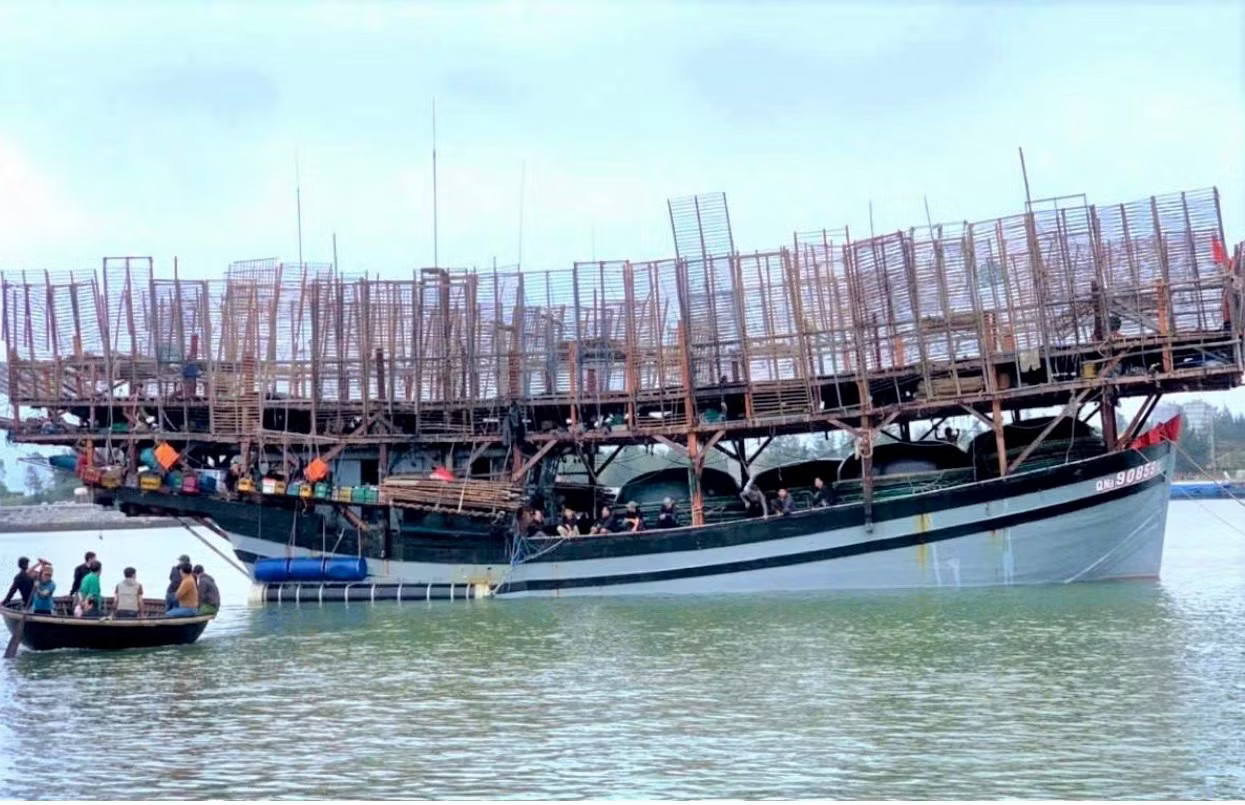 Vụ tàu cá cùng 50 thuyền viên mất liên lạc trên biển: Nỗ lực tìm kiếm ngư dân tàu gặp nạn - Ảnh 1.