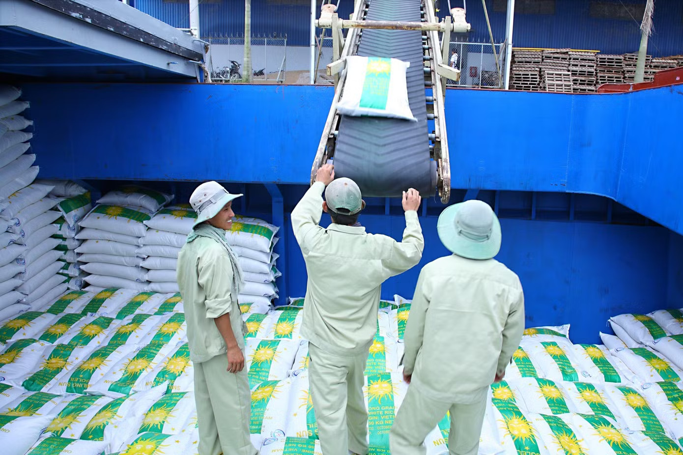 Bộ Công Thương khuyến cáo các doanh nghiệp cần đa dạng hoá thị trường, giảm rủi ro khi thị trường lớn thay đổi chính sách. Philippines dựng thêm rào cản, gạo Việt trước bài toán tìm đầu ra - Ảnh 2.