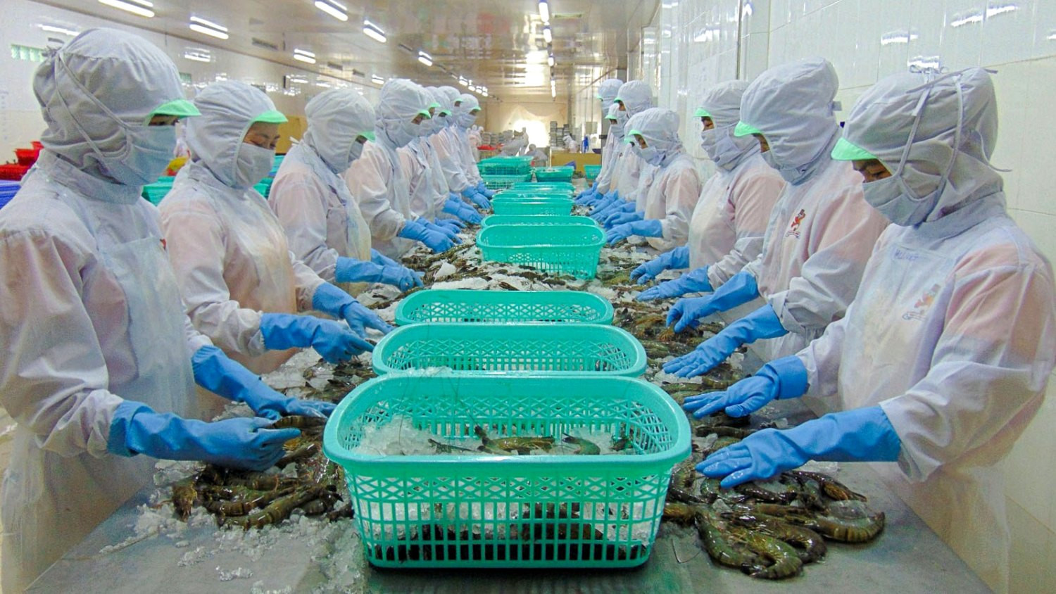 Thực phẩm Sao Ta (FMC) có thể đạt mức thuế 0% trong kỳ rà soát thuế chống trợ cấp sản phẩm tôm đông lạnh nhập khẩu vào Mỹ