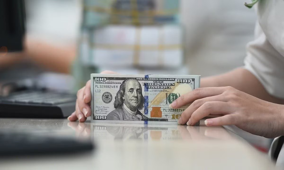 Giá USD ngân hàng Điều gì quyết định tỷ giá USD thời gian tới? - Ảnh 1.