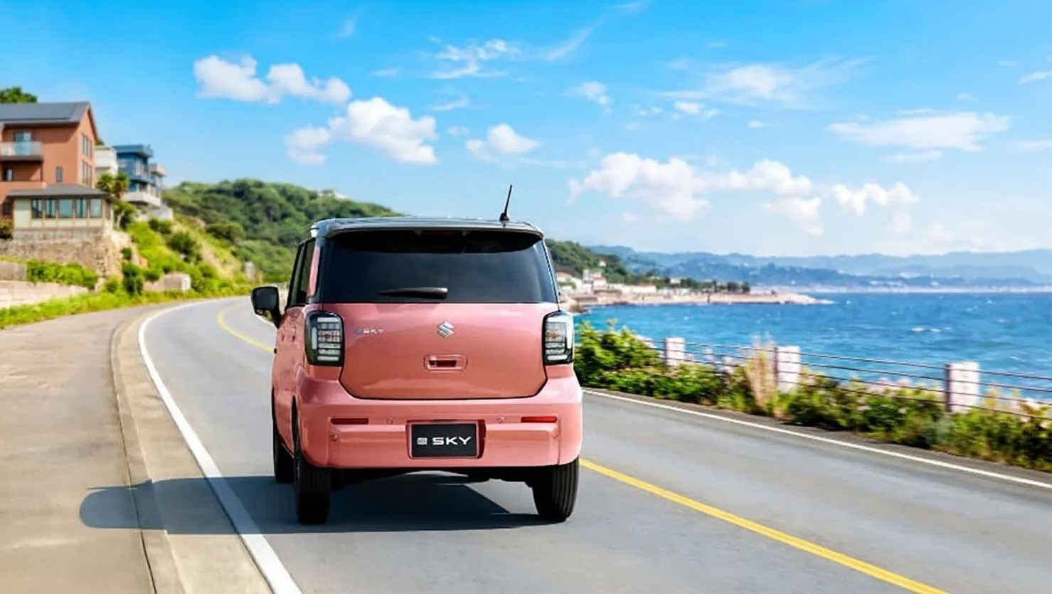 suzuki-5.jpg