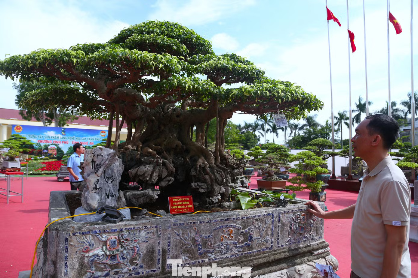 Một tác phẩm khác gây ấn tượng là cây sanh mọc trên đá “Ngũ long ẩn vân” . Anh Nguyễn Đình Quý (trú xã Hưng Nguyên, Nghệ An) cho biết, cây được mua lại từ một người chơi ở TP Hồ Chí Minh trước khi người này sang nước ngoài định cư. Khi mới mua, cây chưa mọc trên đá như hiện nay. Sau nhiều năm chăm sóc, uốn nắn, anh Quý đưa bộ rễ bám vào đá, tạo thế cây tự nhiên, vững chãi. Tác phẩm được điểm xuyết bằng tiểu cảnh mái đình, gợi không gian làng quê Việt Nam thu nhỏ. Cận cảnh cây sanh 'Đại lộc' được trả giá 2 triệu USD - Ảnh 7.