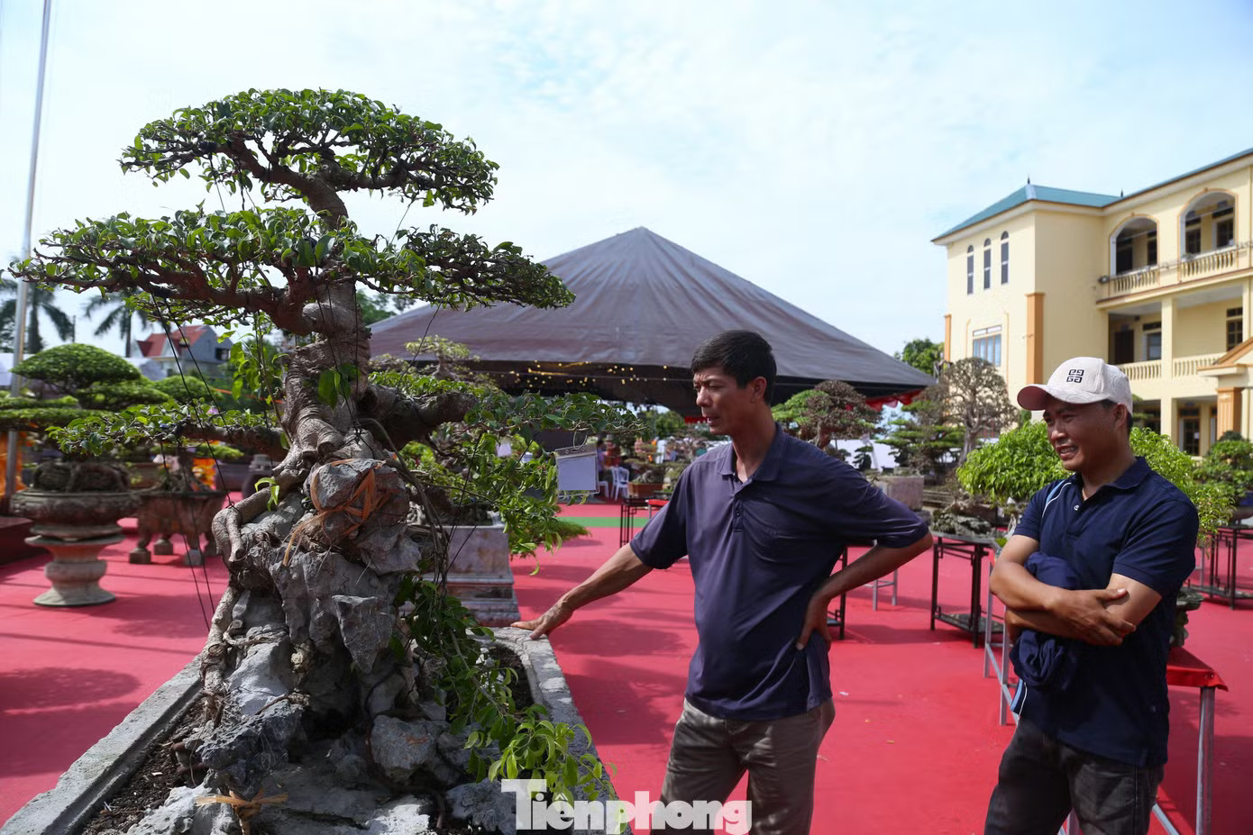Ông Nguyễn Thế Thân - Chủ tịch UBND phường Vinh Phú - cho biết, địa phương hiện có 3 làng nghề hoa, cây cảnh được công nhận hơn 15 năm qua gồm Kim Phúc, Kim Chi và Kim Mỹ. Triển lãm là sự kiện văn hóa - kinh tế có ý nghĩa, góp phần quảng bá nghề trồng hoa, cây cảnh của địa phương. Phường đang xây dựng đề án phát triển các làng nghề gắn với sản phẩm OCOP về hoa, cây cảnh, hướng tới kết hợp nông nghiệp chất lượng cao với du lịch sinh thái, trải nghiệm. Cận cảnh cây sanh 'Đại lộc' được trả giá 2 triệu USD - Ảnh 9.