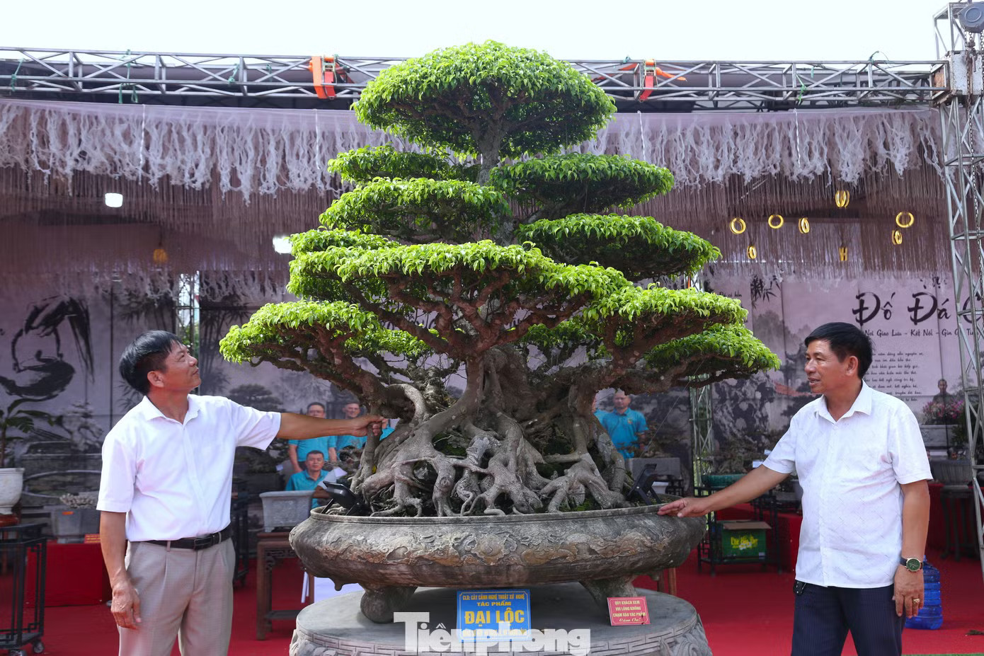 Triển lãm Cây cảnh nghệ thuật xứ Nghệ lần thứ I đang diễn ra tại khối Nghi Ân, phường Vinh Phú, Nghệ An, quy tụ hơn 300 tác phẩm của các nghệ nhân, nhà vườn trong và ngoài địa phương. Một trong những tác phẩm thu hút sự chú ý là cây sanh “Đại lộc” . Theo ông Hoàng Thành Công - chủ nhân cây sanh Cận cảnh cây sanh 'Đại lộc' được trả giá 2 triệu USD - Ảnh 1.