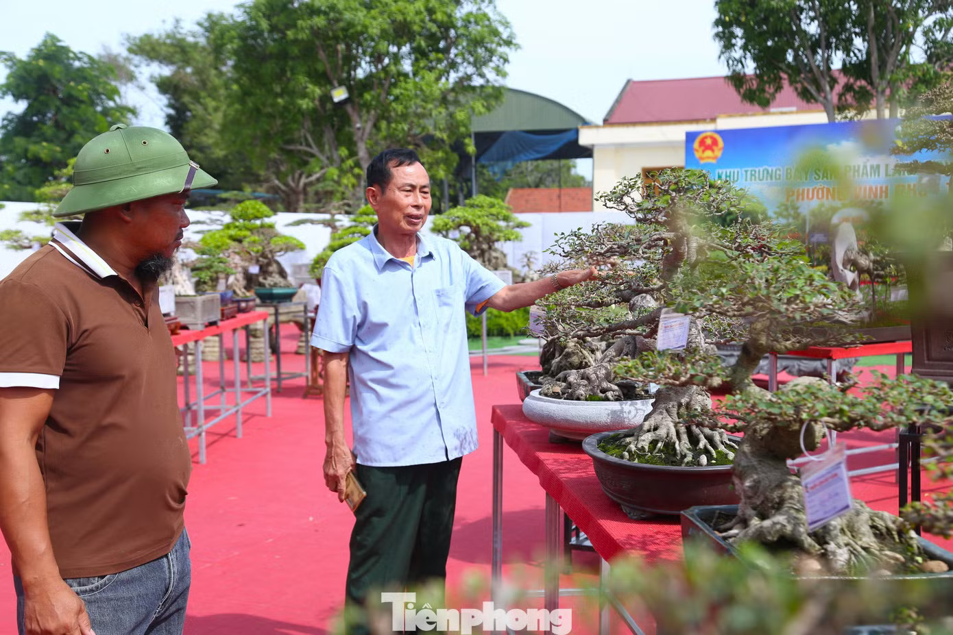 Bên cạnh những cây có kích thước lớn, nhiều tác phẩm nhỏ cũng gây chú ý bởi thế dáng độc đáo, đường thân, cành và rễ được tạo tác tinh tế. Qua mỗi tác phẩm, người xem có thể nhận thấy sự kỳ công và dấu ấn riêng của các nghệ nhân. Cận cảnh cây sanh 'Đại lộc' được trả giá 2 triệu USD - Ảnh 8.