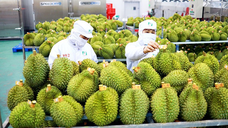 Chậm nhất ngày 15/7 trình Chính phủ Nghị quyết tháo gỡ điểm nghẽn xuất khẩu nông sản.