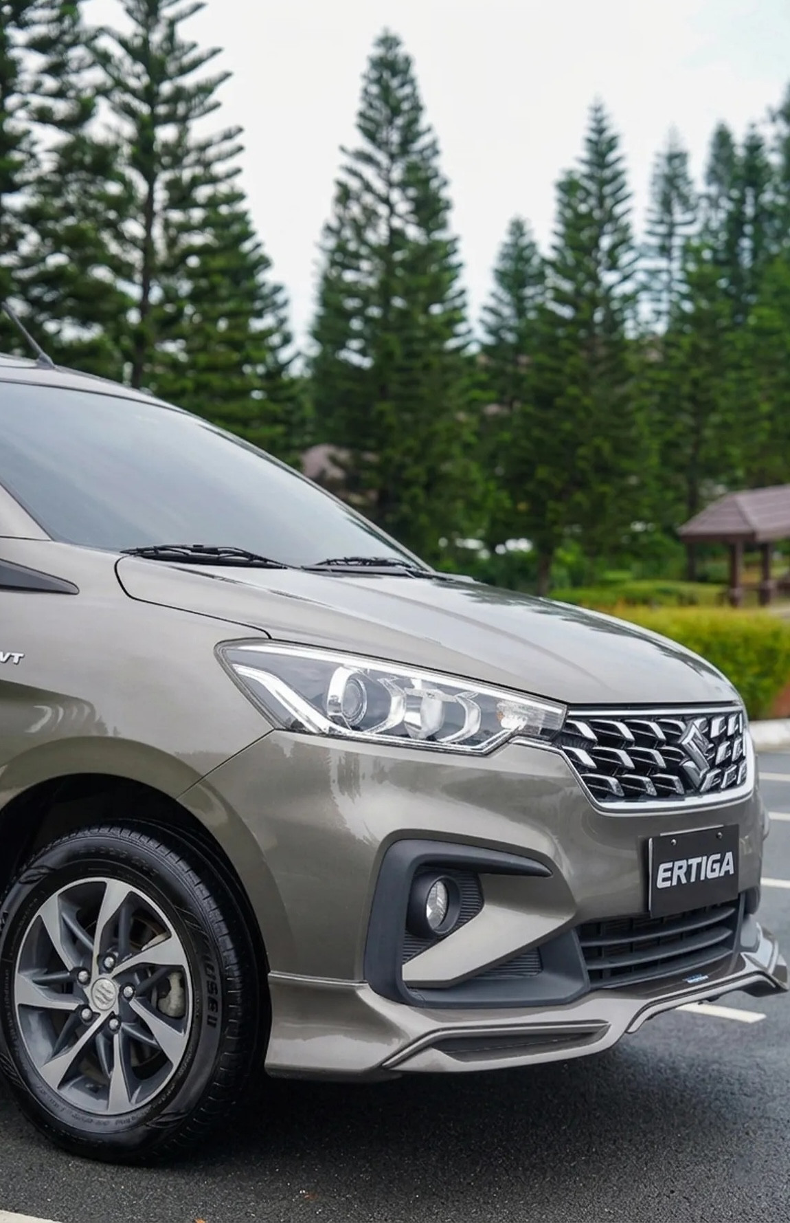suzuki-4.jpg