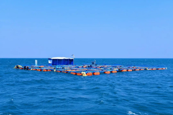 subsites.chinadaily.com.cn-cnnc-att-20230519-_1684489791799080494.jpg