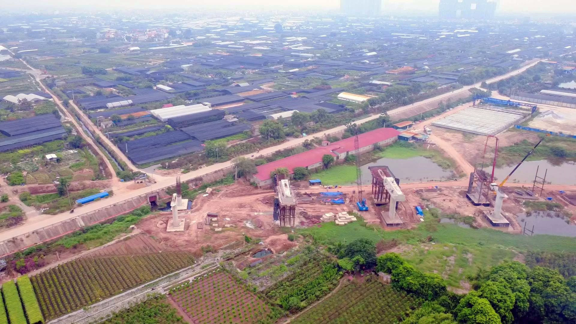 cau-ngoc-hoi5.jpg