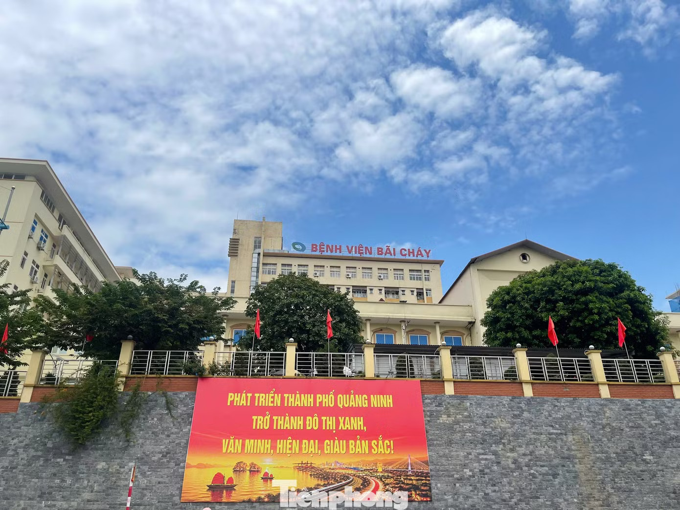 12 hồ sơ do Bệnh viện Bãi Cháy trực tiếp tổ chức lựa chọn nhà thầu Việt Mỹ gồm 11 gói trúng và 1 gói bị hủy. Chi tiết loạt gói thầu Công ty Việt Mỹ trúng liên quan Bệnh viện Bãi Cháy - Ảnh 3.