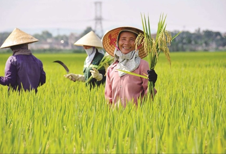 nong-dan-1.jpg