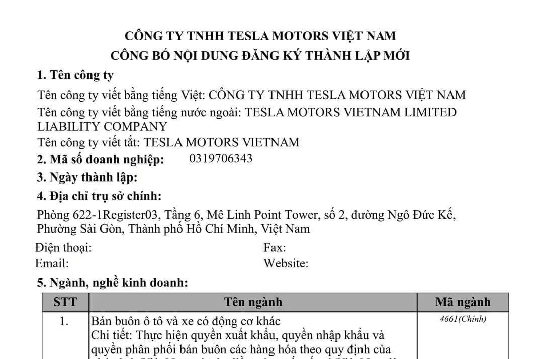 Mong đợi gì ở xe điện Tesla nếu bán chính hãng ở Việt Nam? - Ảnh 1.