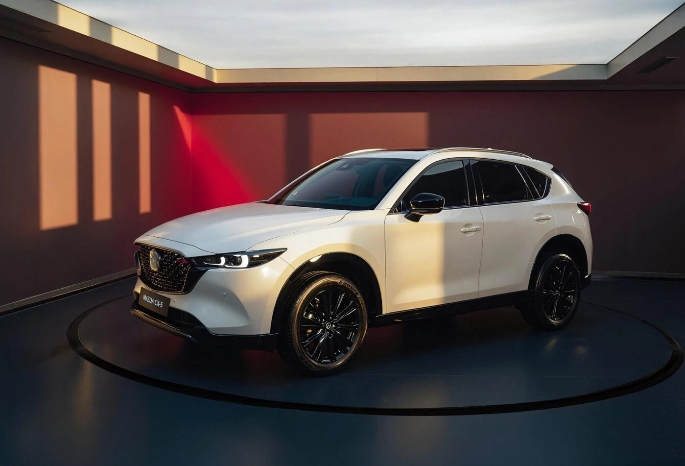 cx-5-1_1789545174.jpg