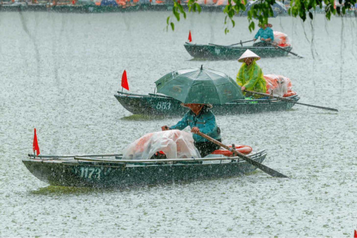 Ảnh màn hình 2026-09-17 lúc 11.56.58