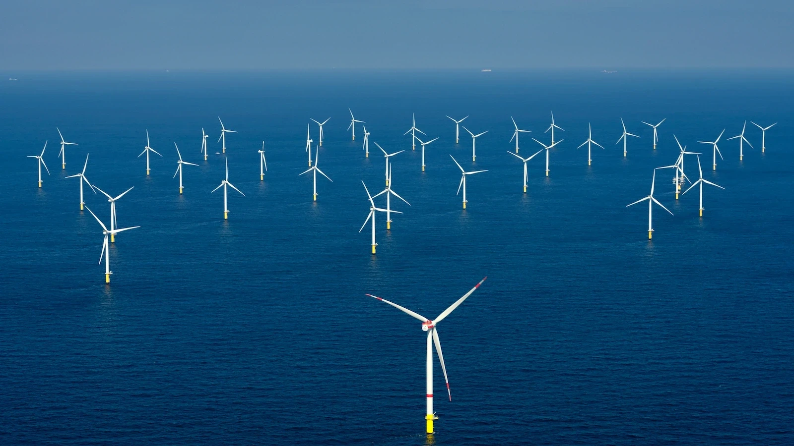 njeoffshore-windtom-buysseshutterstock-1727804735928.webp