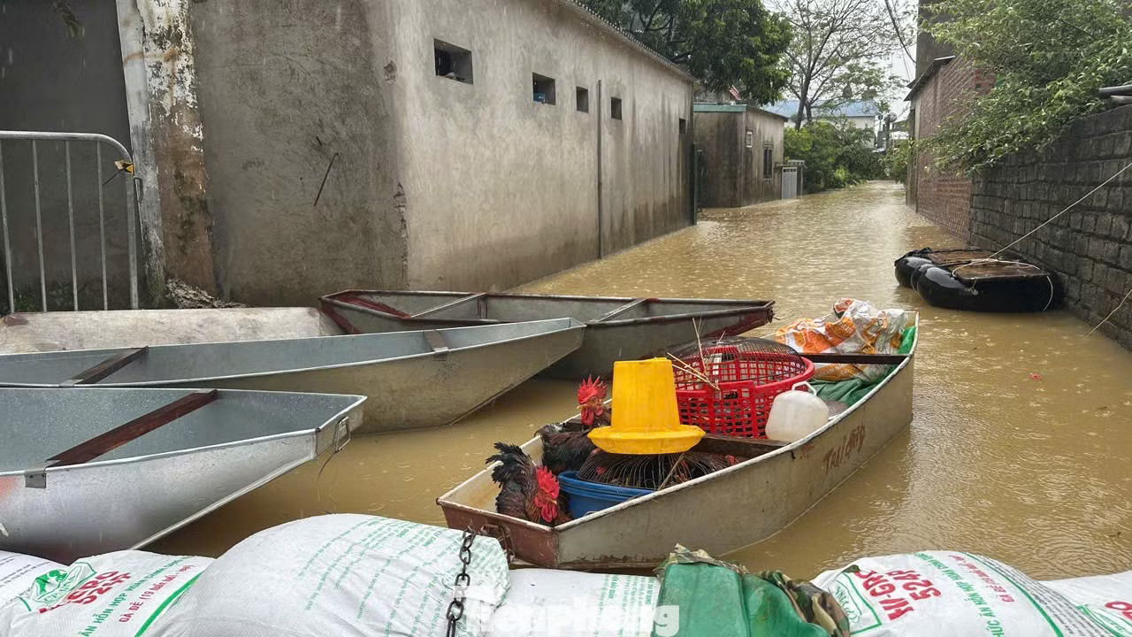 Nước sông Bùi tiếp tục lên cao: Di dời hàng trăm hộ dân ngoại thành Hà Nội - Ảnh 2.