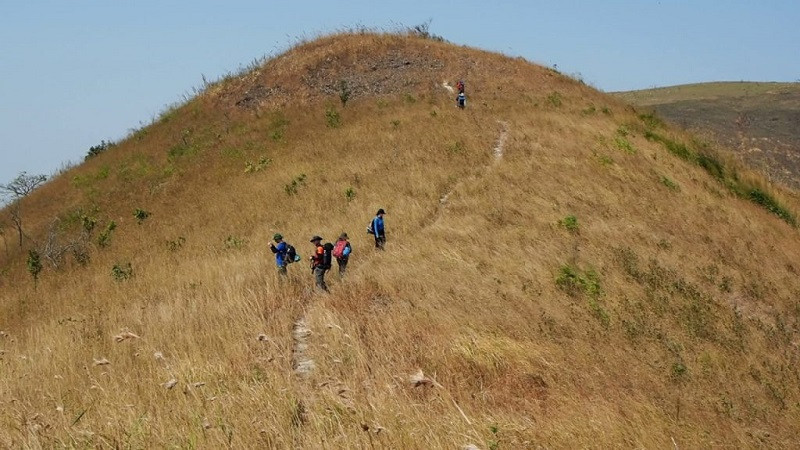 Thảo nguyên Pal Sol tháng 12