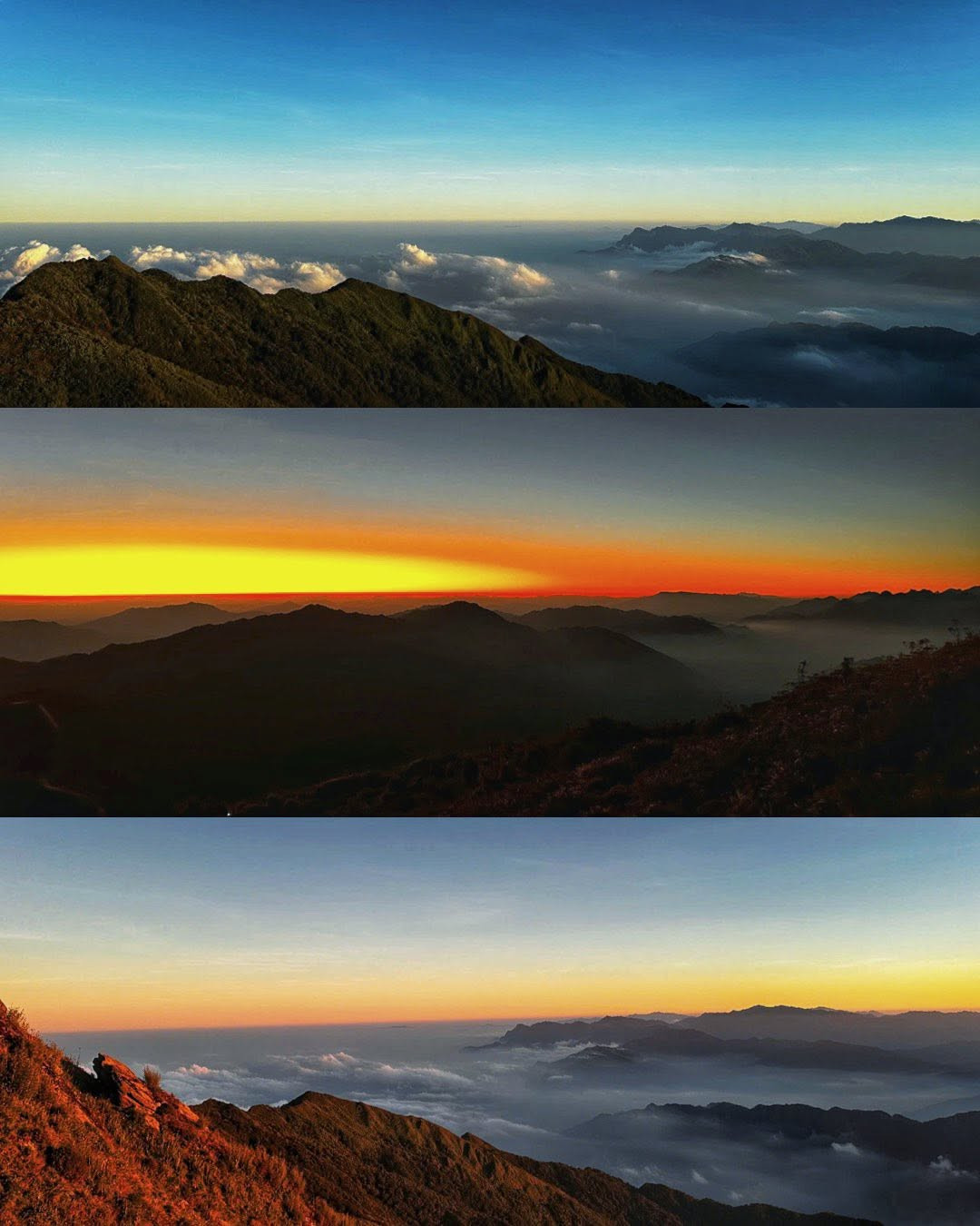 lung cung 1