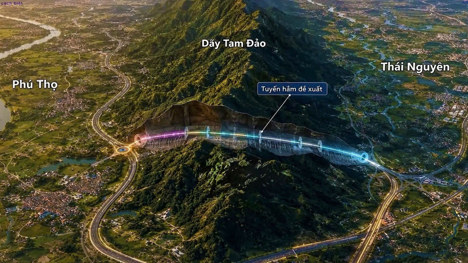 ham-tam-dao.jpg