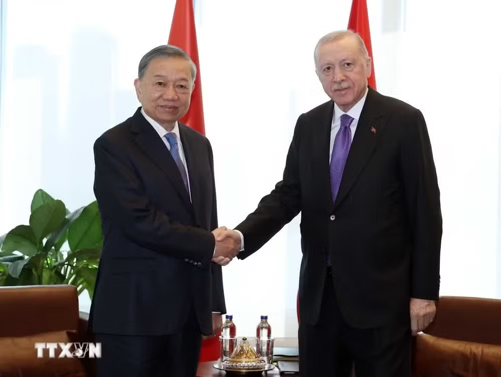 Tổng Bí thư, Chủ tịch nước Tô Lâm gặp Tổng thống Thổ Nhĩ Kỳ Recep Tayyip Erdogan. (Ảnh: Thống Nhất/TTXVN) Việt Nam - Thổ Nhĩ Kỳ hướng đến mục tiêu thương mại 4 tỷ USD - Ảnh 1.