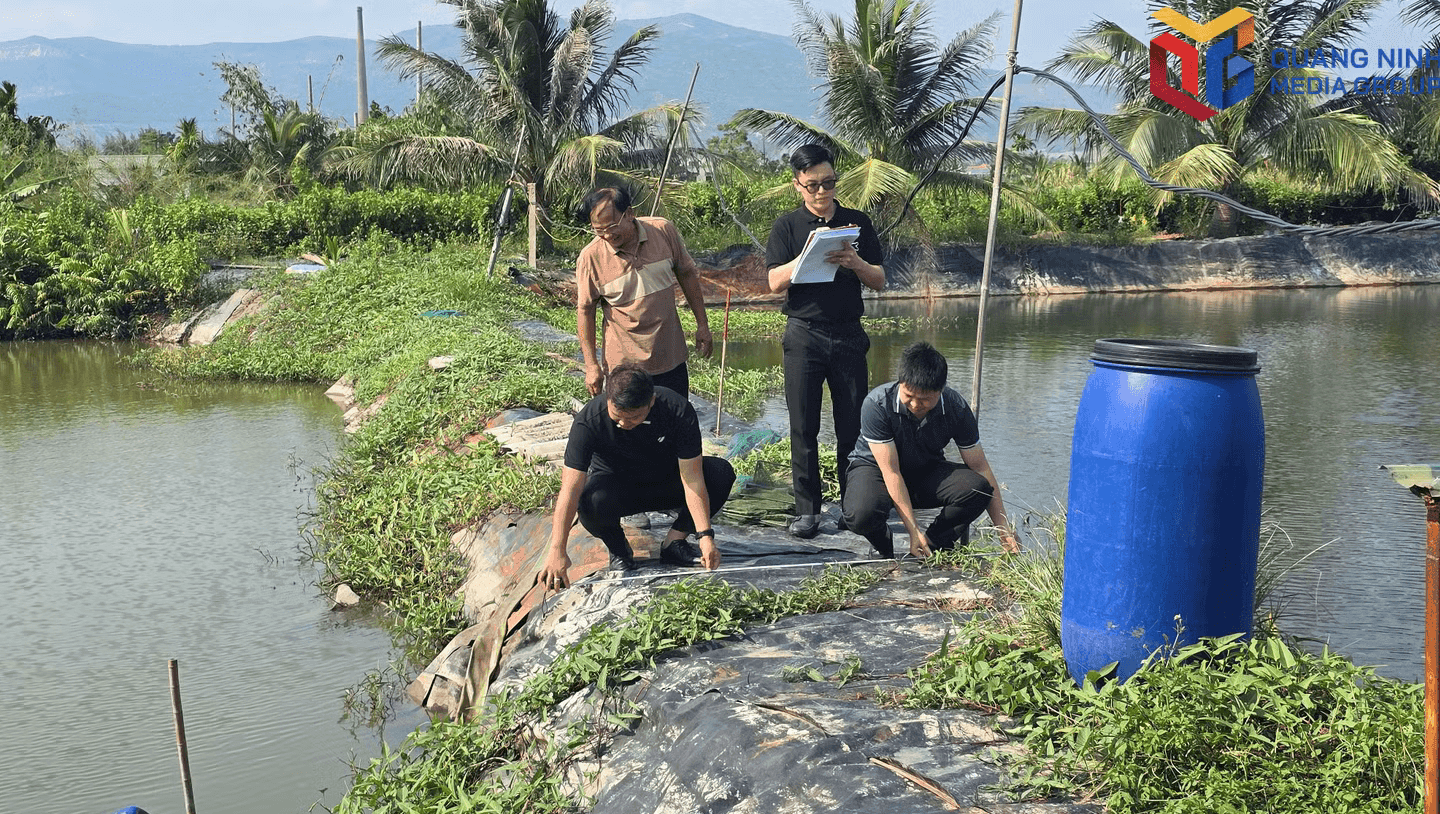 Ảnh màn hình 2026-09-22 lúc 13.32.44