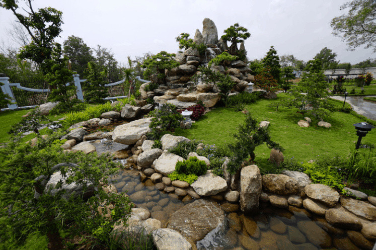 hoai linh-4