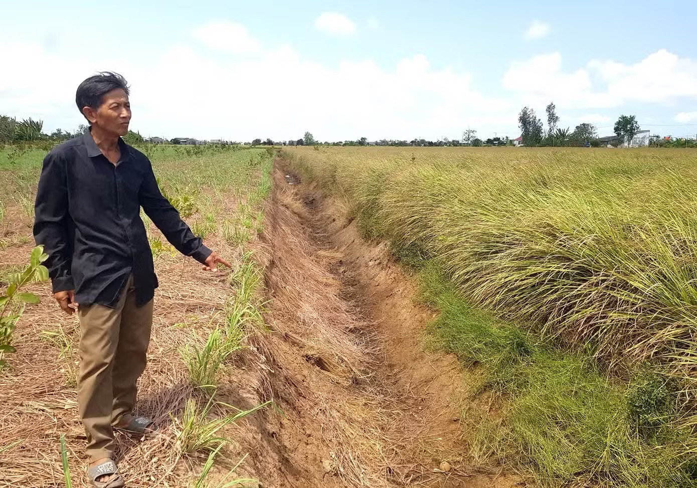 Đồng bằng sông Cửu Long đối mặt với nguy cơ hạn, mặn, thiếu nước sinh hoạt, sản xuất trong mùa khô 2026-2027. Siêu El Nino quay lại sau 11 năm: Việt Nam nguy cơ hạn khắc nghiệt, mùa đông năm nay ấm với nền nhiệt cao hơn - Ảnh 2.