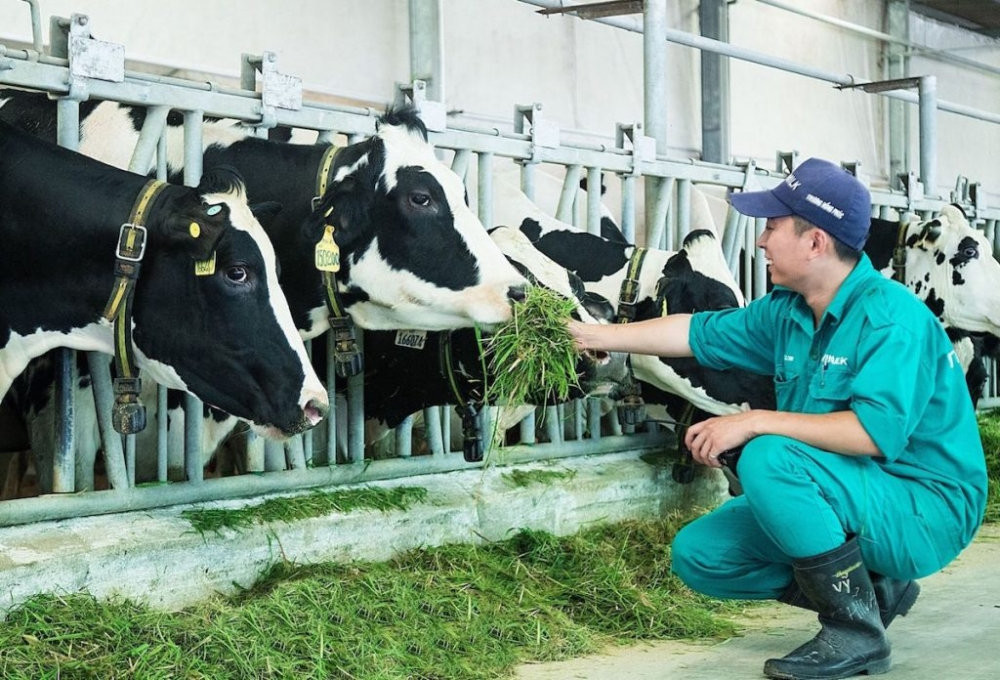Công ty sữa liên quan các doanh nhân Mai Kiều Liên, Thái Hương, Tô Hải sắp được vinh danh