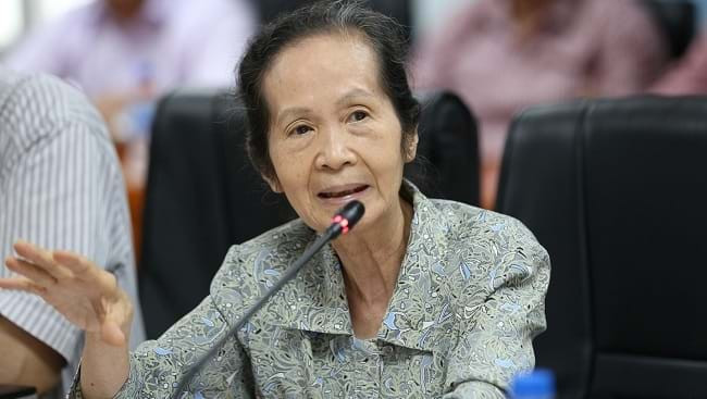 Chuyên gia kinh tế Phạm Chi Lan.