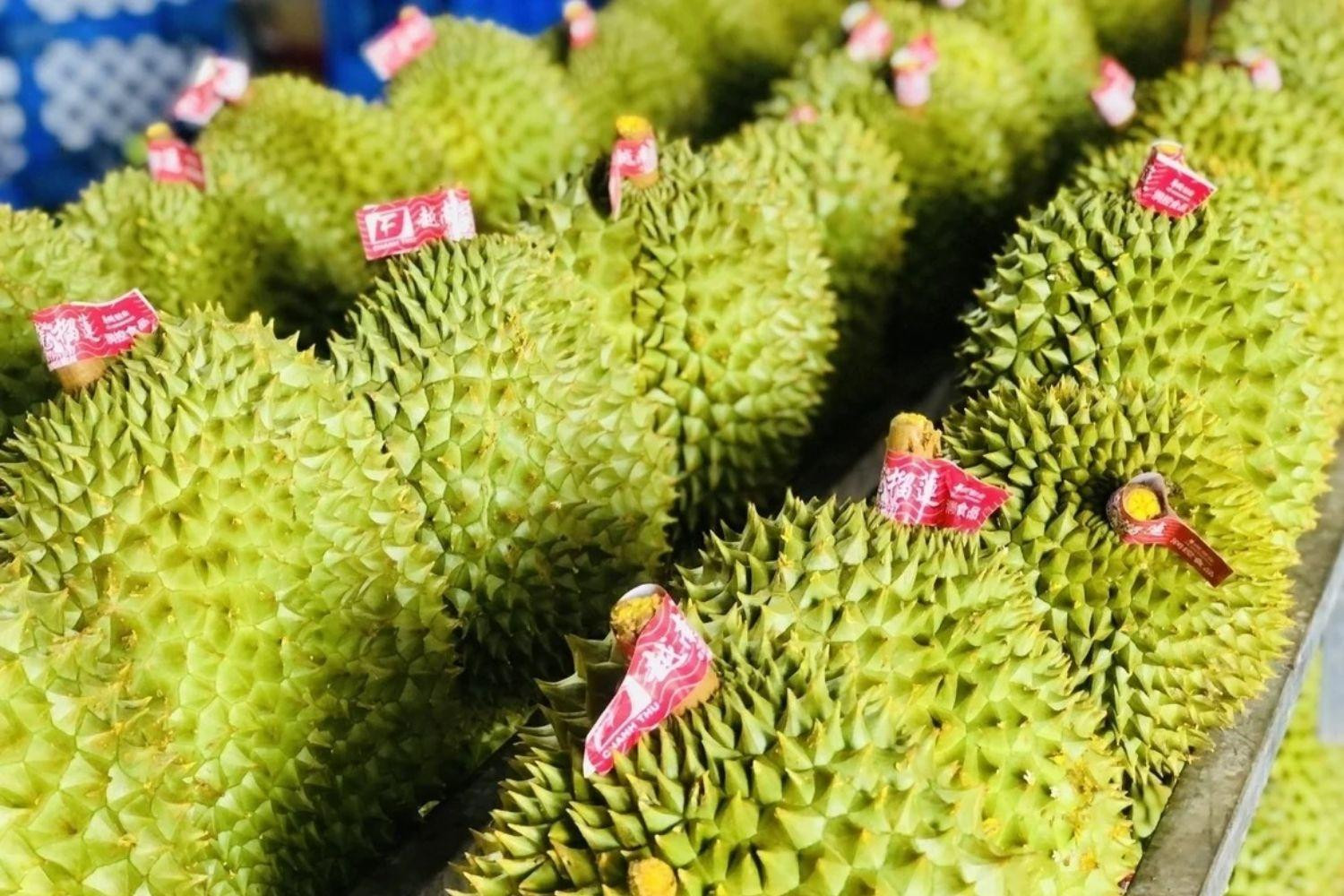 sau-rieng_1790235268.jpg