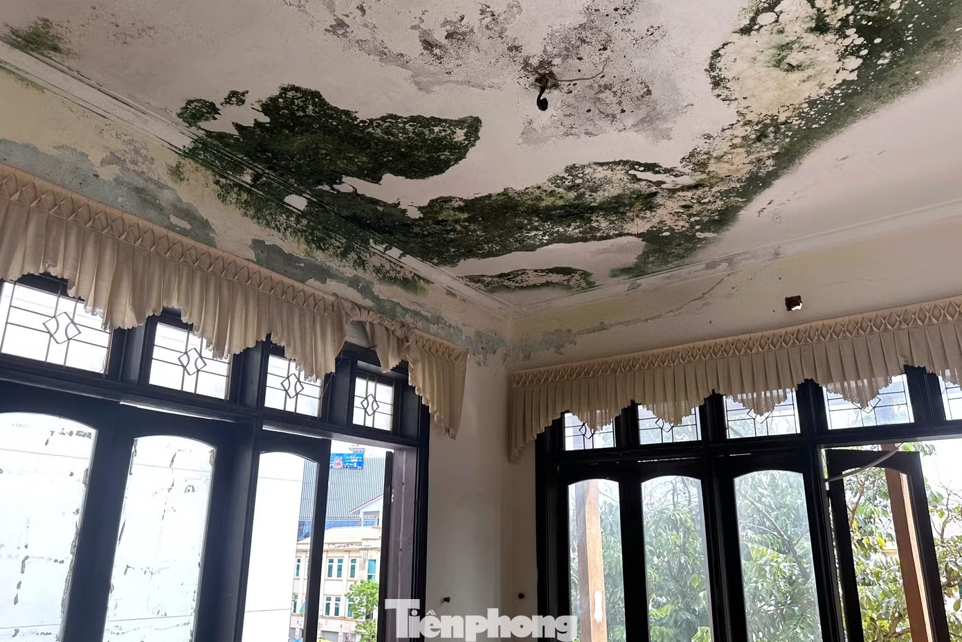 Bên trong trụ sở tòa án bỏ hoang được rao thuê hơn nửa tỷ đồng/năm - Ảnh 4.