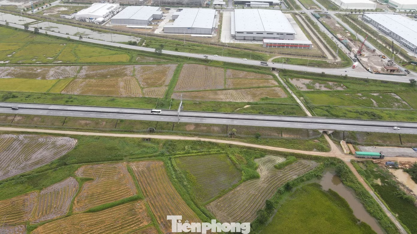 Lượng xe đi cao tốc qua Thanh Hóa, Nghệ An, Hà Tĩnh bất ngờ giảm - Ảnh 7.