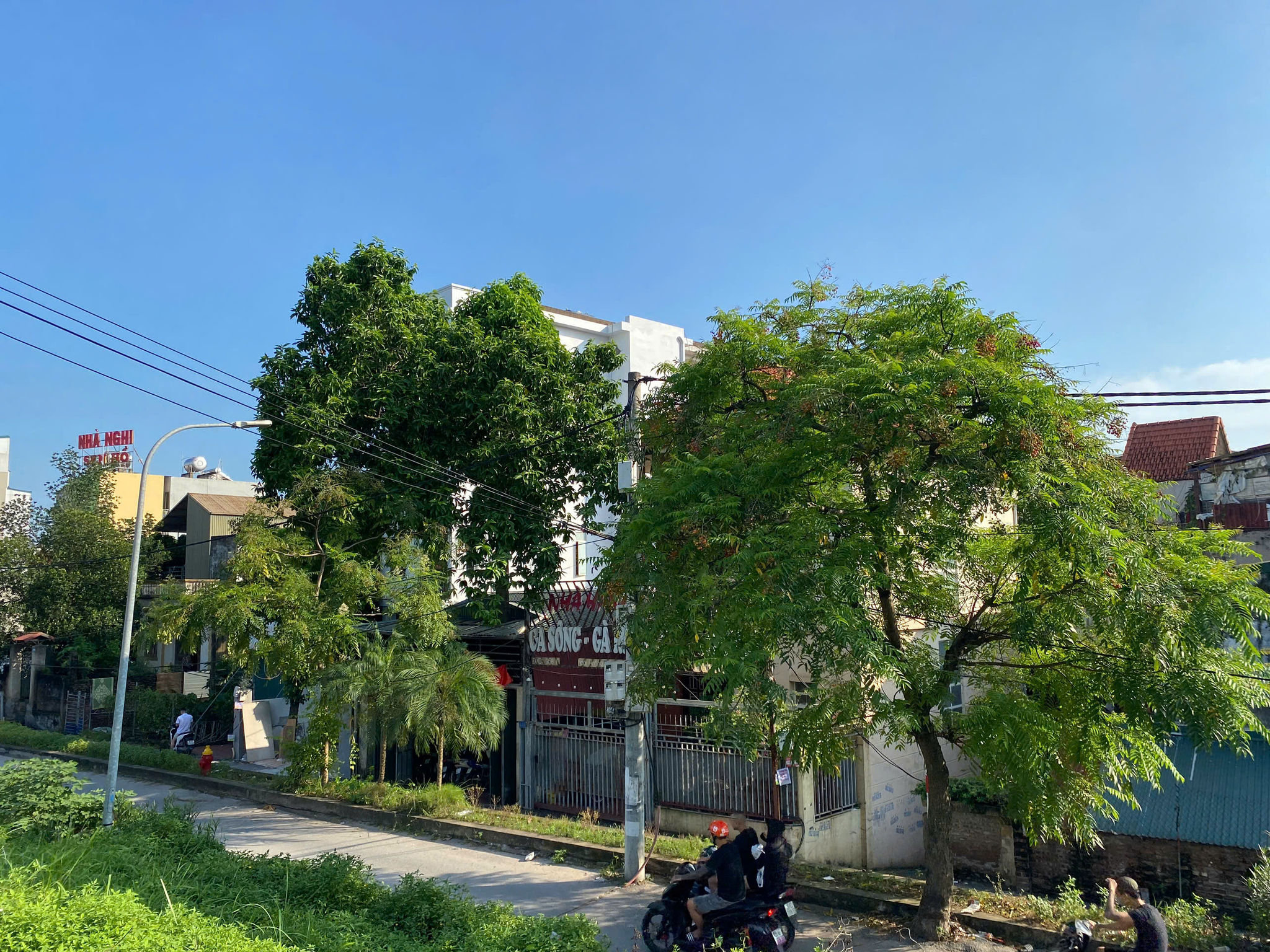 vinh-hung-1.jpg