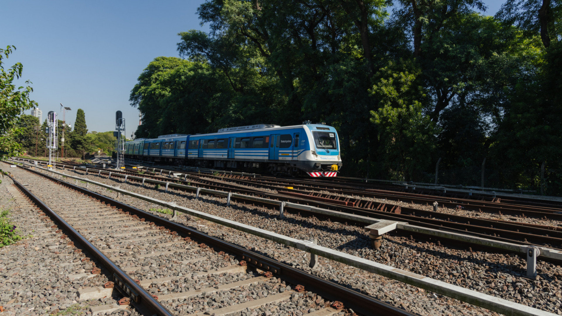 trenes_argentinos_01.jpg