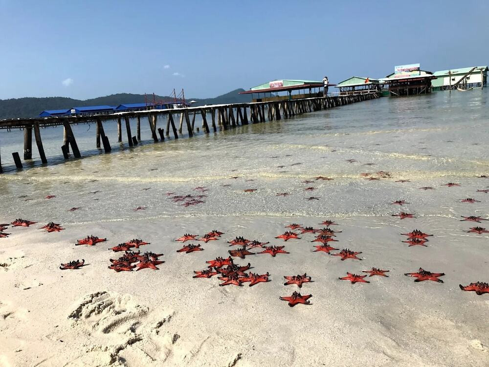 quy-hoach-rach-vem-phu-quoc5.jpg