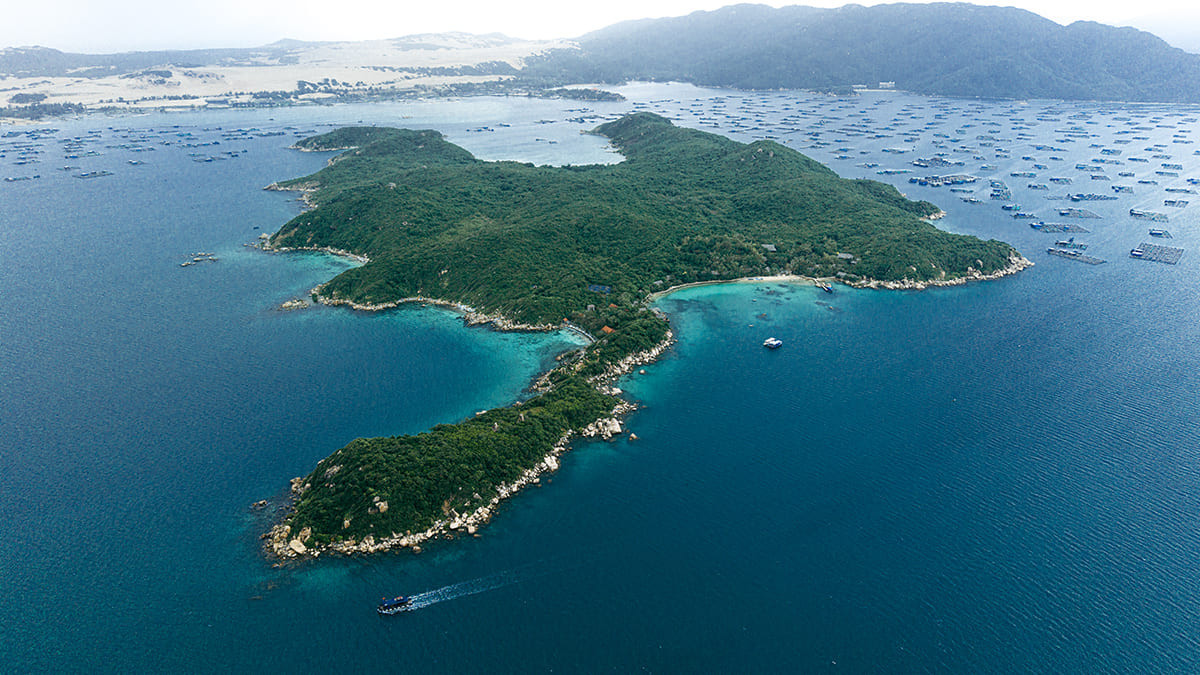 dji_20260104154712_0169_d.jpg