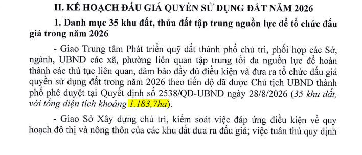 dong-nai-dau-gia-dat.jpg