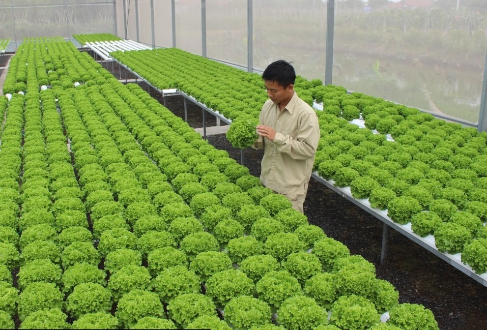 nong-nghiep-1.jpg