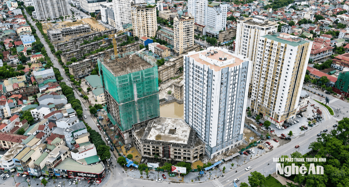 Ảnh màn hình 2026-10-03 lúc 07.44.18