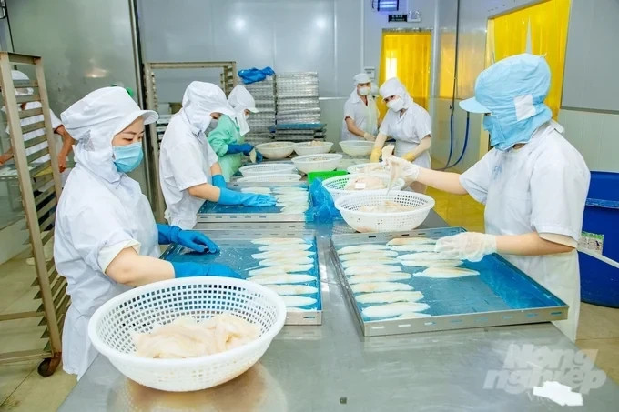 Doanh nghiệp thủy sản Việt Nam cần kiểm soát chặt giá trị khai báo khi xuất khẩu sang Singapore. Ảnh minh họa.