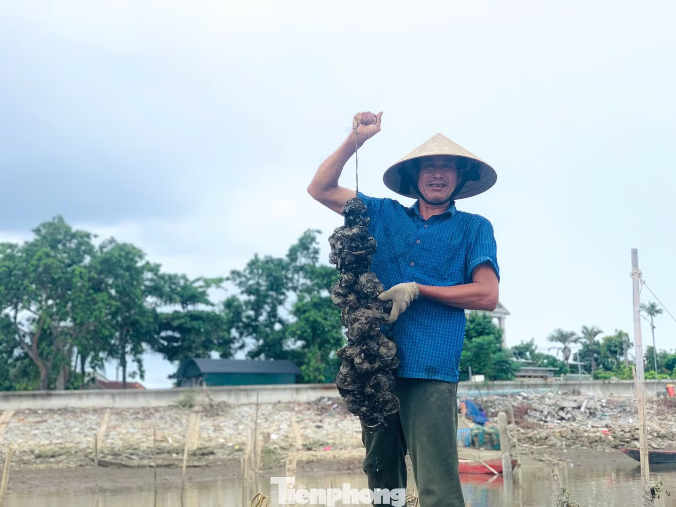 Ông Trương Văn Tạo nuôi hàu trên sông Rào Cái. 'Hái ra tiền' với nghề thả dây trên sông cho hàu bám - Ảnh 1.