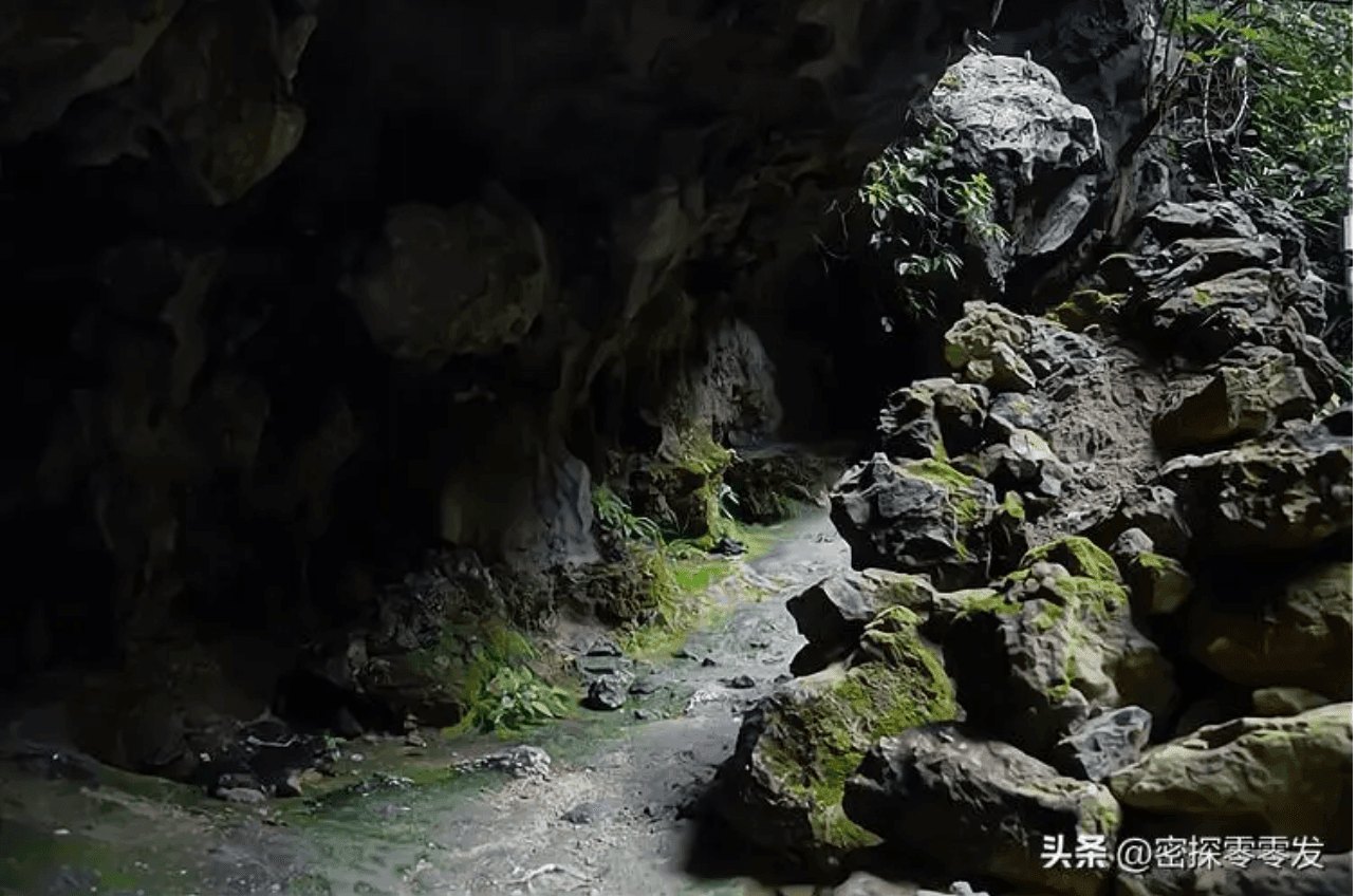 Ảnh màn hình 2026-10-05 lúc 13.14.19