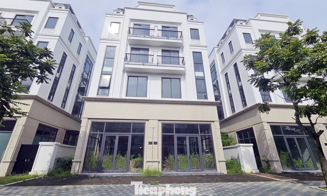 Đất bỏ hoang có thể chịu thuế 0,2%: Thí điểm trước khi áp dụng rộng rãi - Ảnh 1.